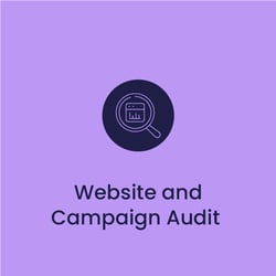 Website and Campaign Audit-100