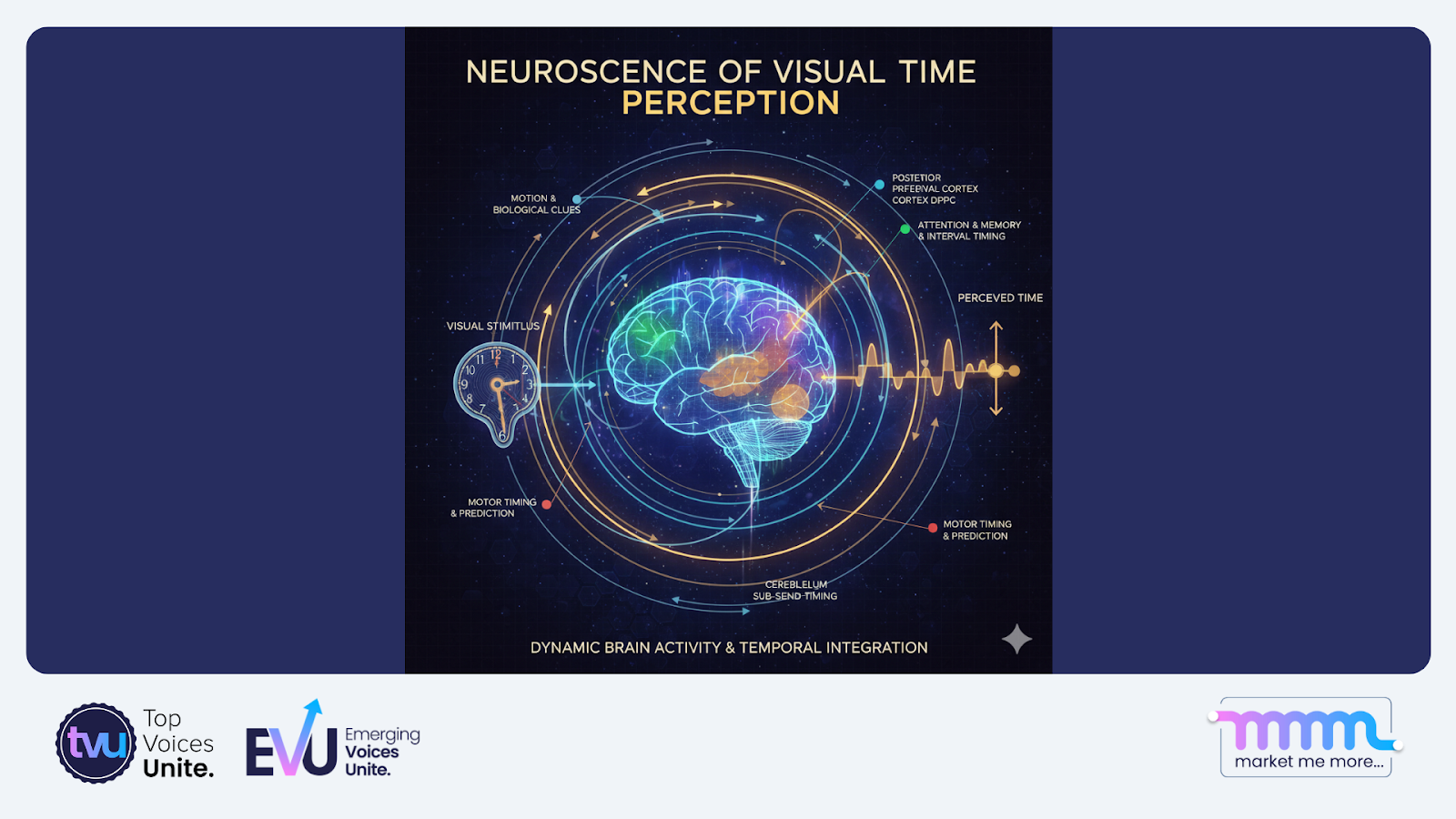 Neuroscience visual time perception brain activity